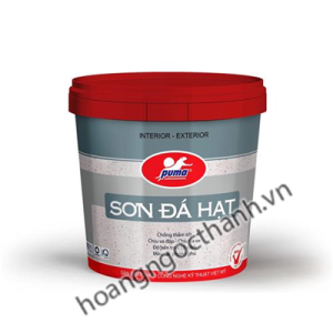 SƠN ĐÁ HẠT